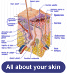 Information on skin conditions